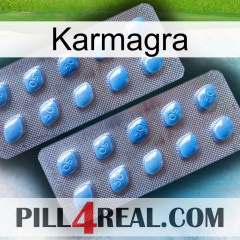 Karmagra viagra4